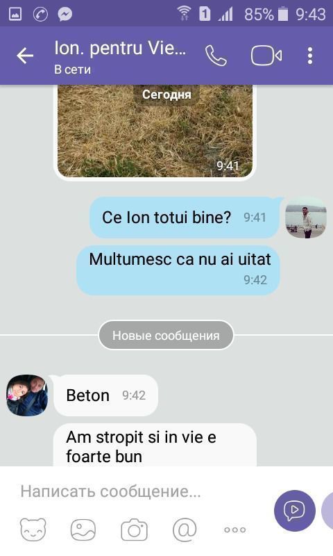 Soluție pentru buruian teracotă. (s.special pentru livezi , viță de vie,perimetru casă) foto 2