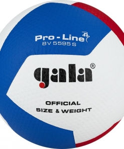 Mingi pentru volei si baschet, GALA foto 9