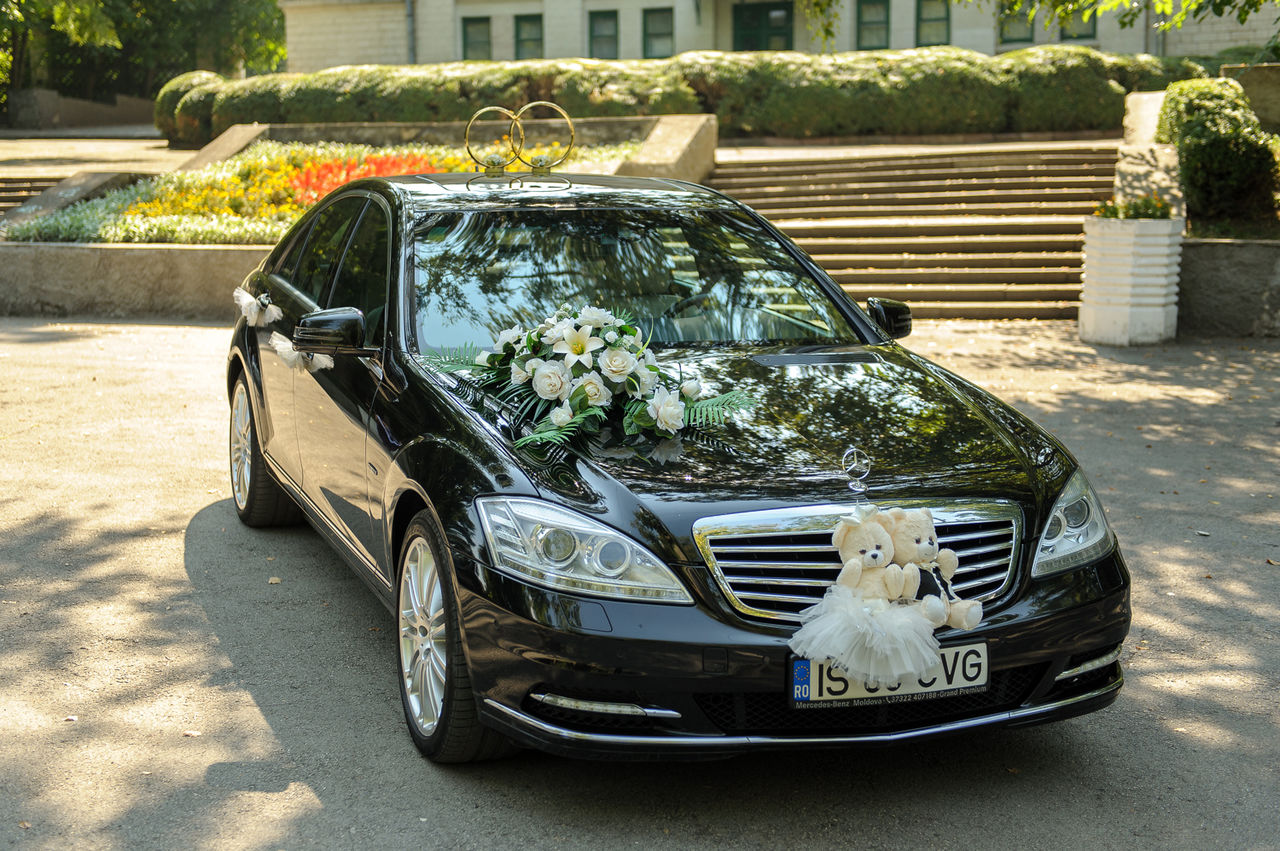 Авто молдова бельцы