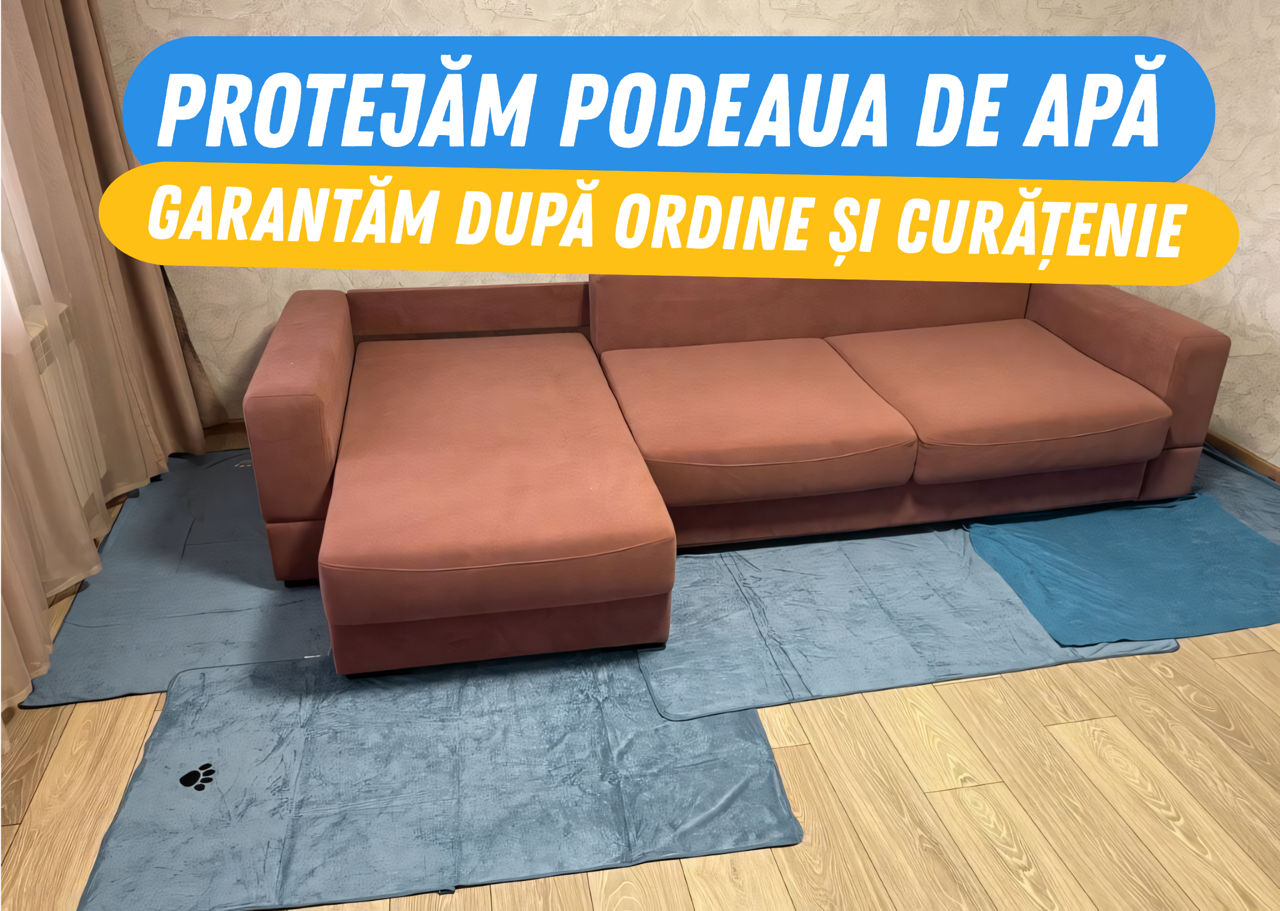 Curățare Chimică canapele/ saltele / scaune foto 1