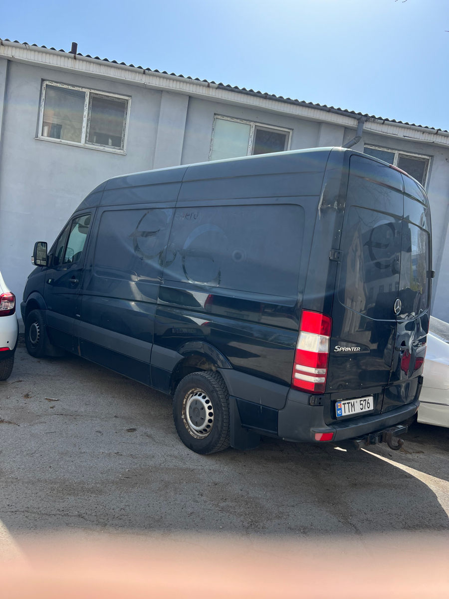 Chirie Bus,  Arenda bus foto 2