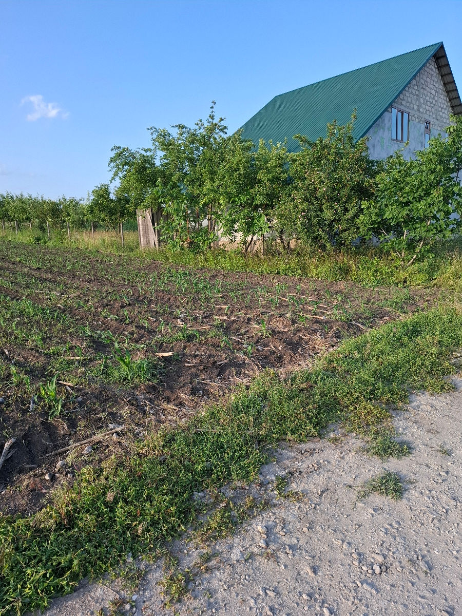 Teren pentru construcții.