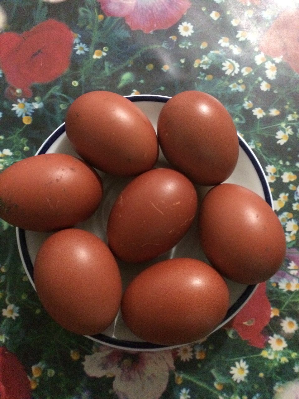 Инкубационное яйцо марана купить. Билефельдер Маран. Инкубационное яйцо Маран. Яйца кур Маран. Цыплята Маран.