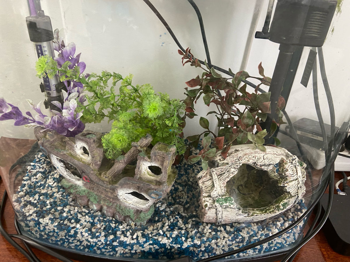 Acvarium cu tot ce este în el foto 0