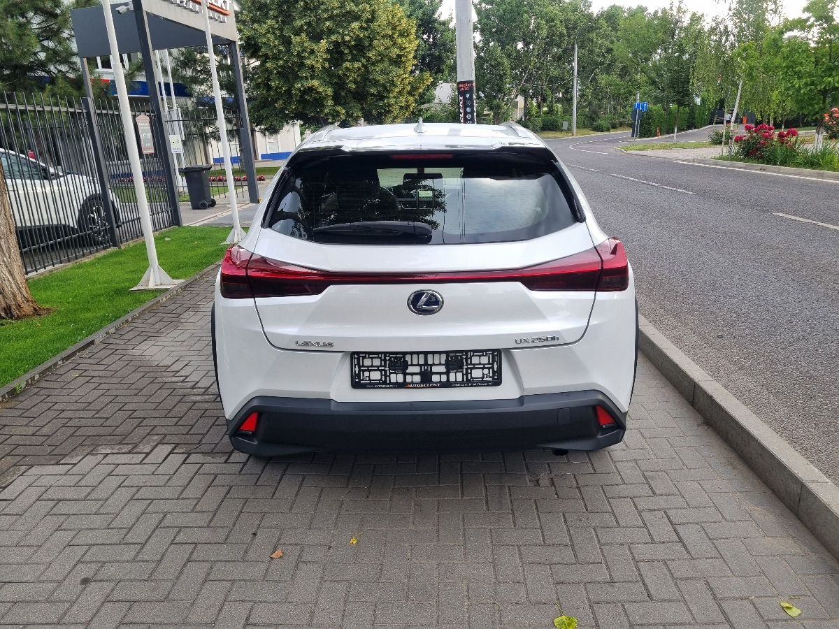 Lexus UX 2021 photo 6