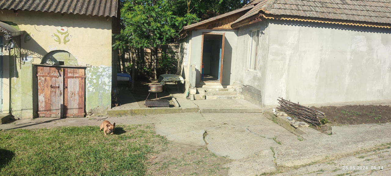 дом/дача