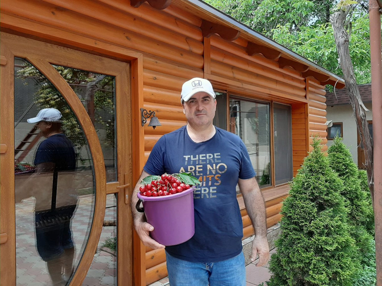 Pomi fructiferi - cais ( abricos ) , vișin , prun , persic , prăsad , migdal ... foto 10