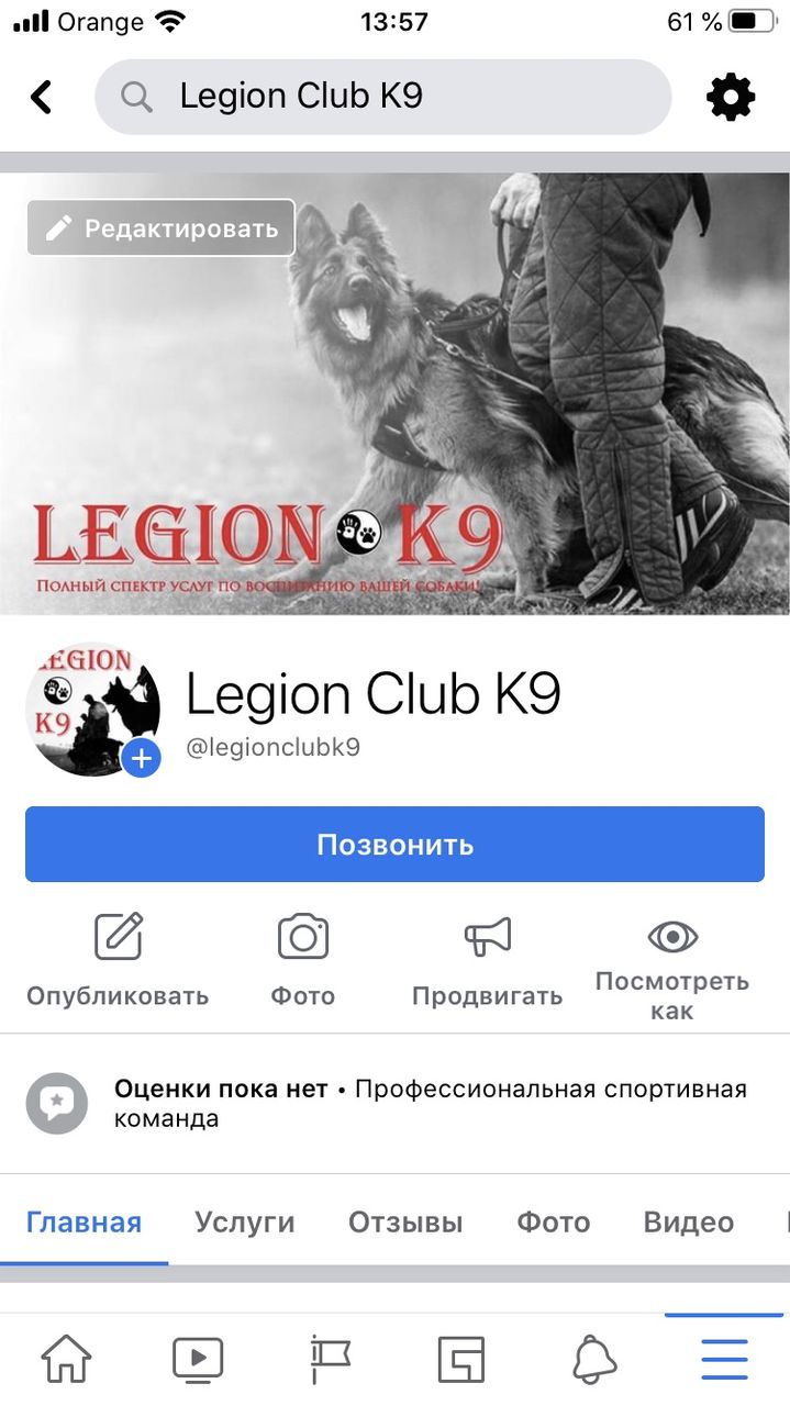 Дрессировка собак! foto 6