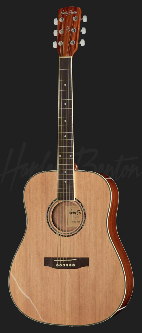 Fender, Aria.... guitars folck rock instrument..acoustic folk rok. Hi foto 4