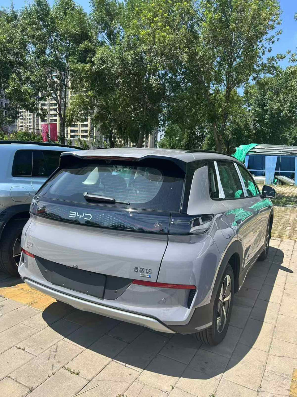 Byd Sea Lion 05 foto 2