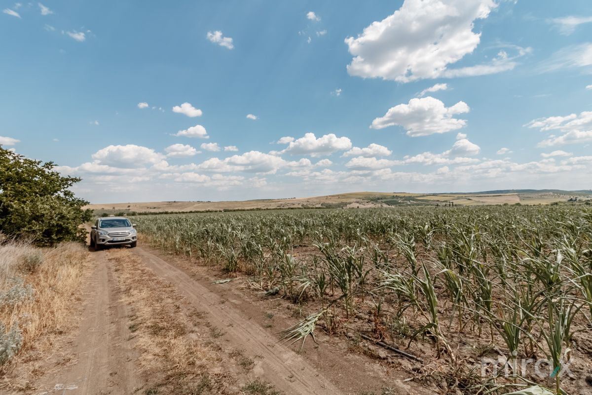 Spre vânzare teren, destinație agricolă amplasat în s. Sângera foto 4