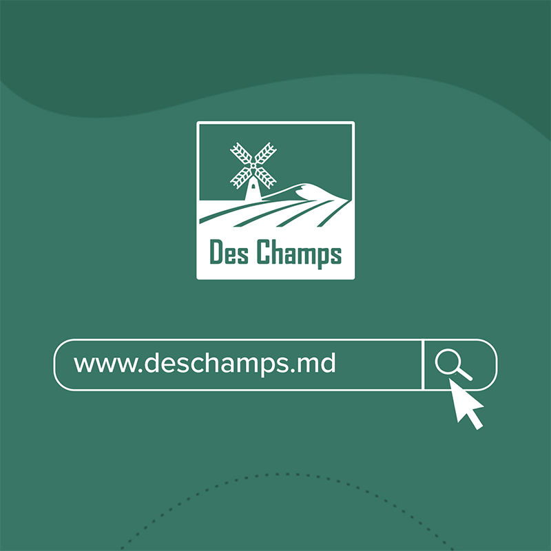 Masina pentru cusut saci GK9-2 | Des Champs foto 5
