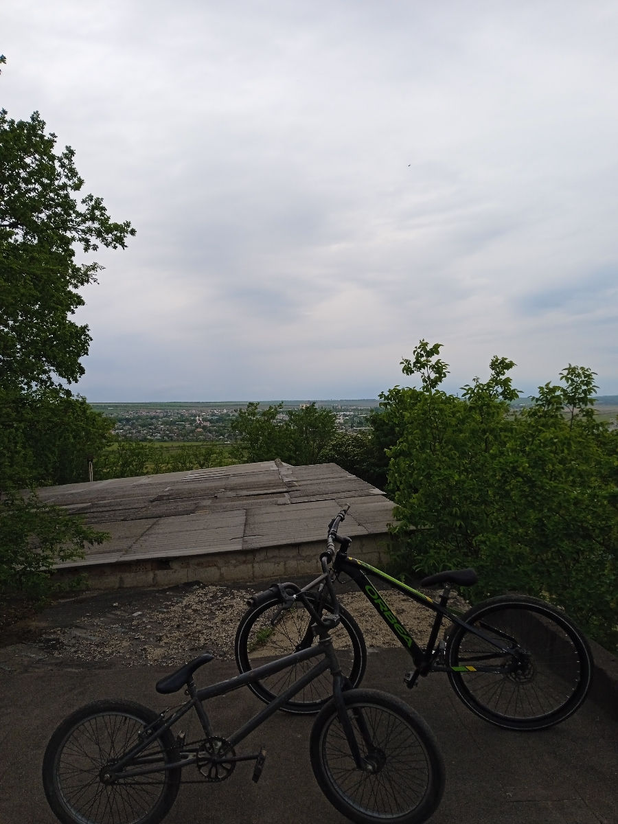 Orbea mx 26 dirt foto 1