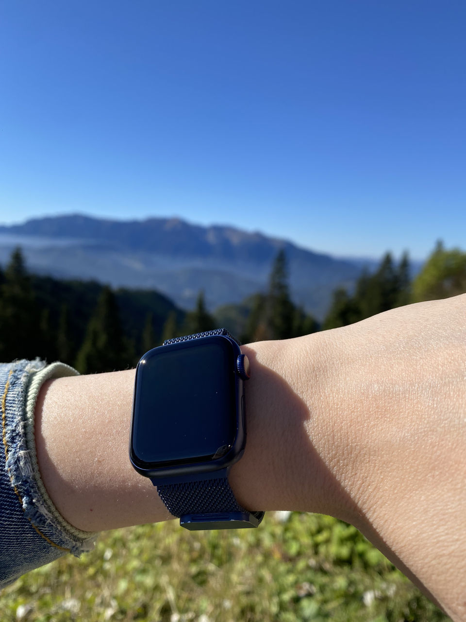 Apple Watch Series 6 40 mm LTE