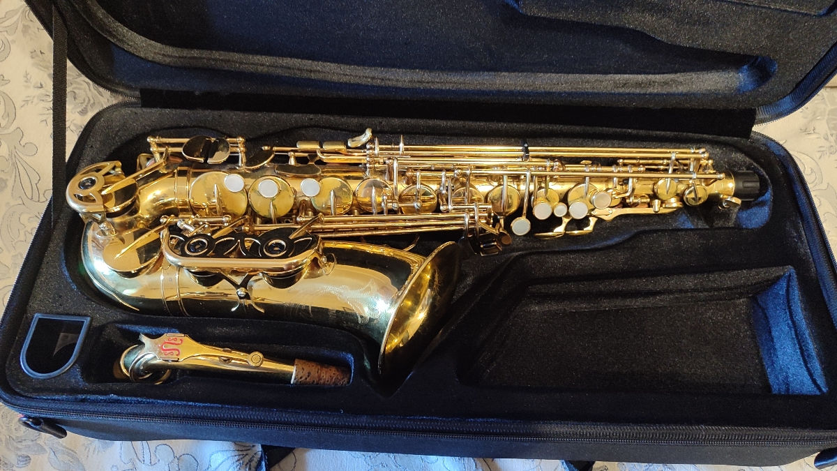 Husă saxofon alto- nouă foto 4