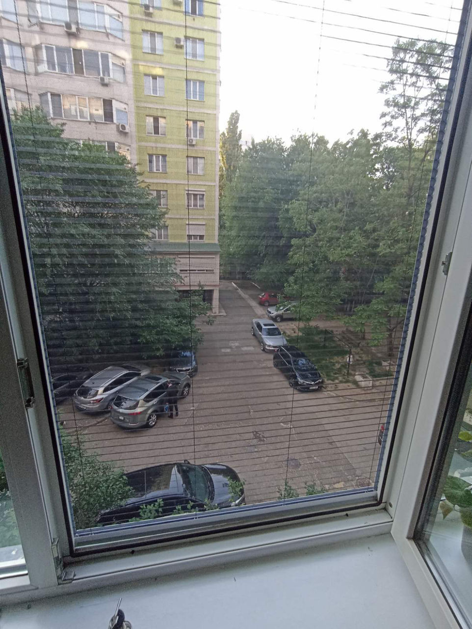 Усиленная москитная сетка/ plase anti-insecte Chisinau Bacioi