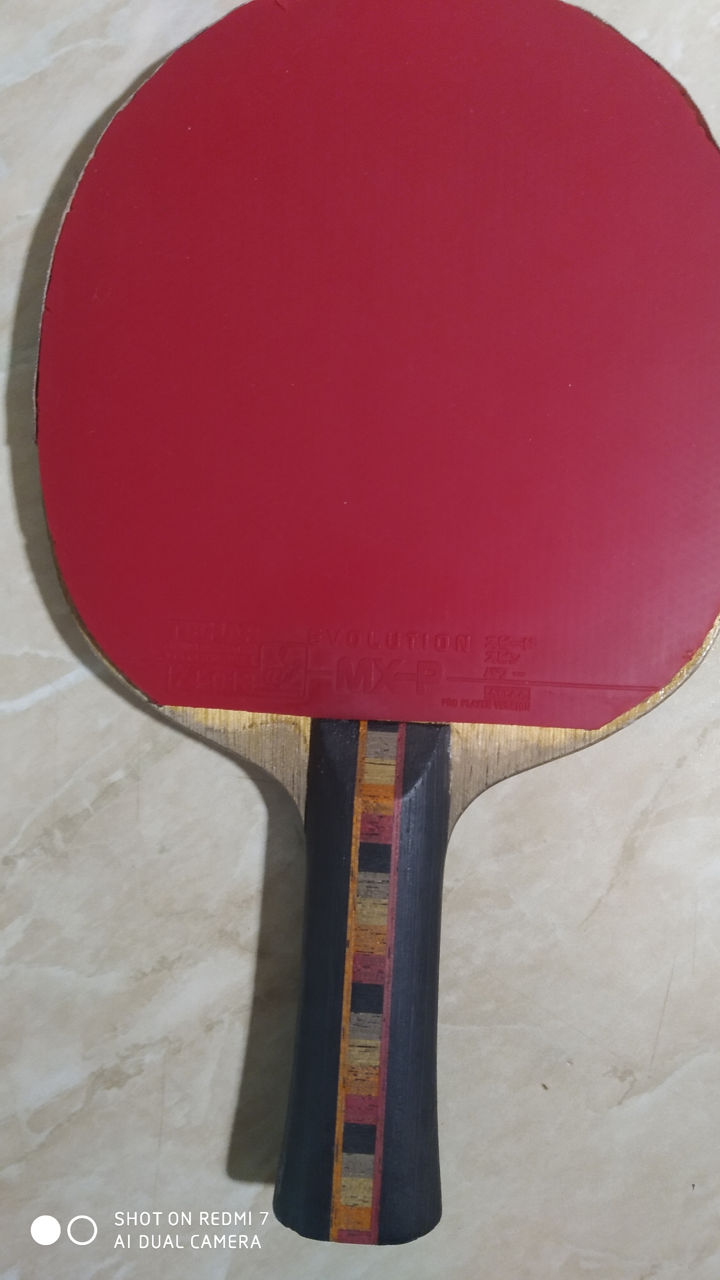 Paleta tenis de masa foto 1