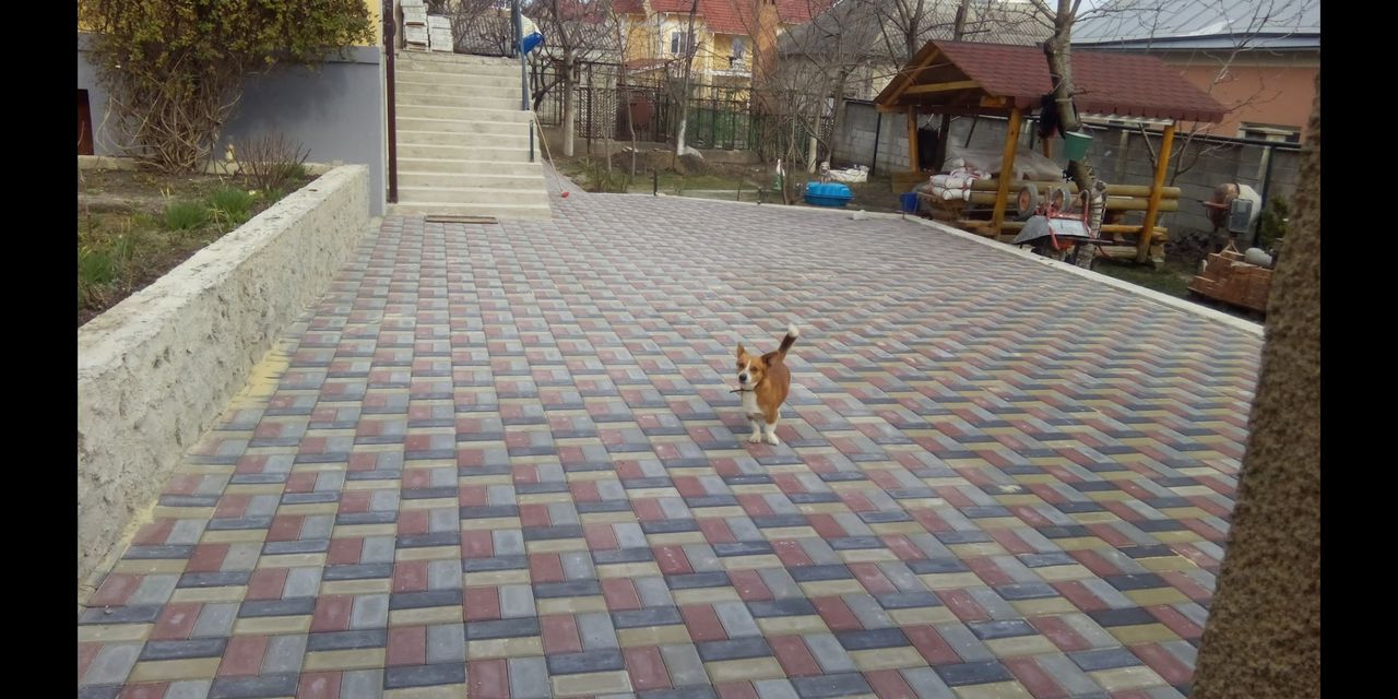 Укладка тротуарной плитки. foto 3