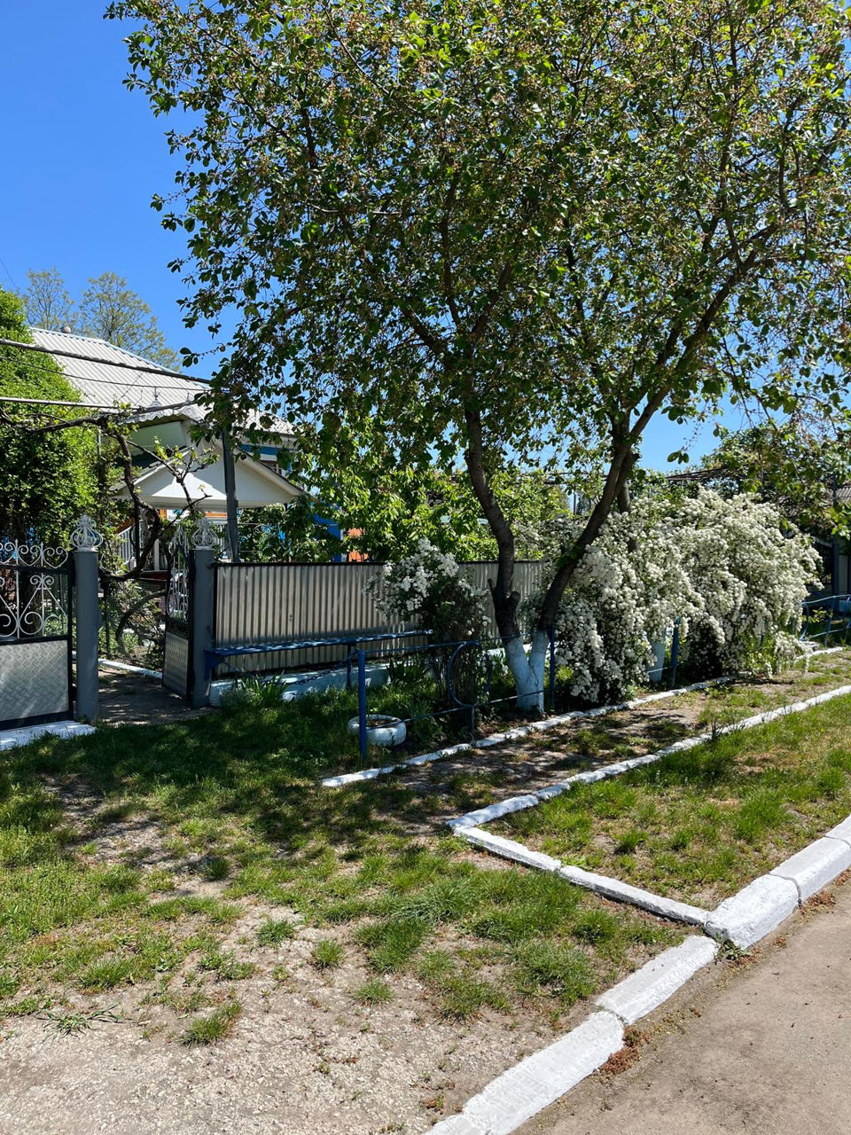 Gospodărie de vânzare – Mihălășeni, Ocnița – 24.000 € (negociabil) foto 0