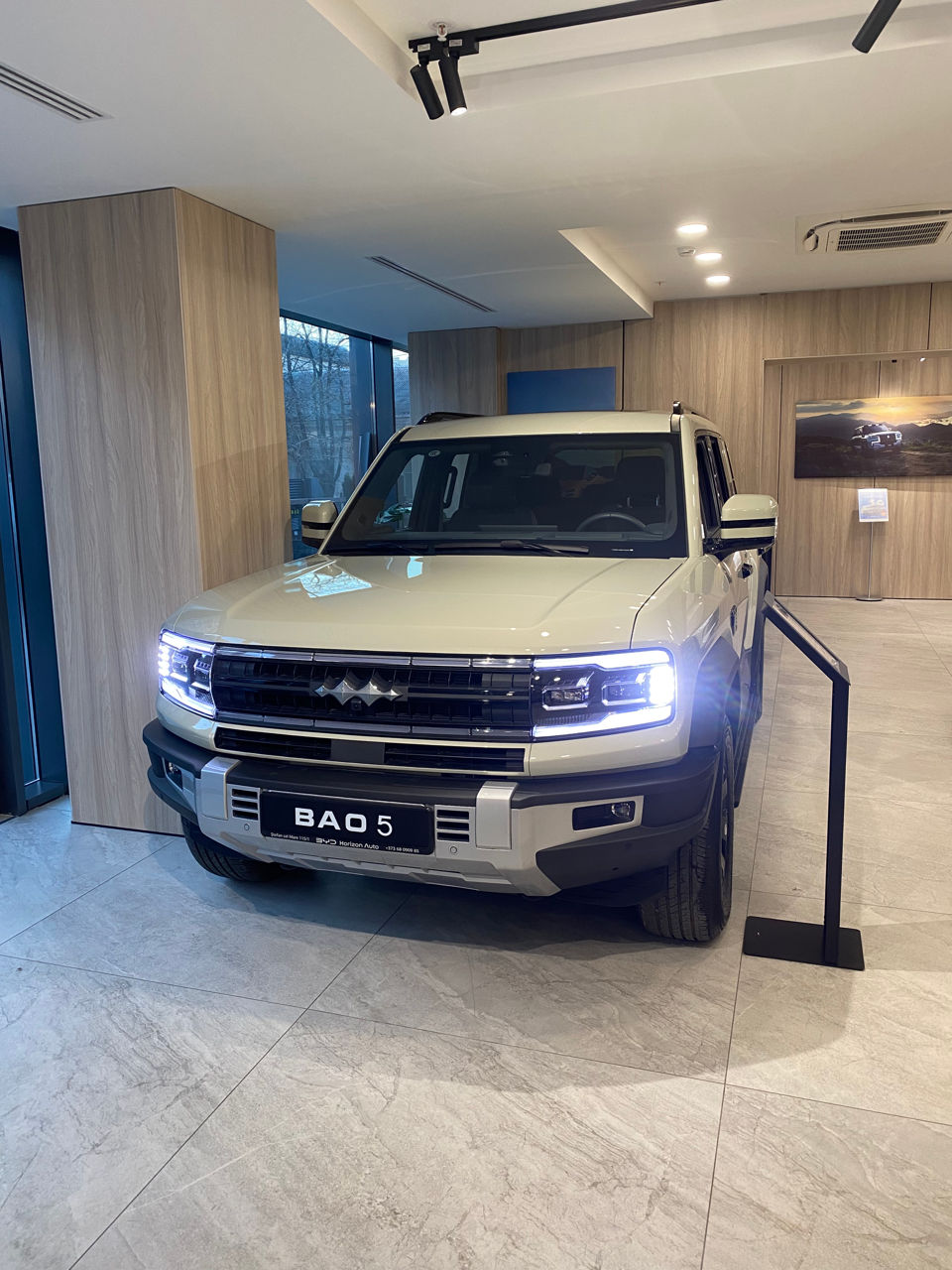 Byd Leopard 5 фото 0