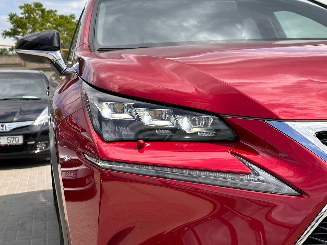 Lexus NX Series foto 14