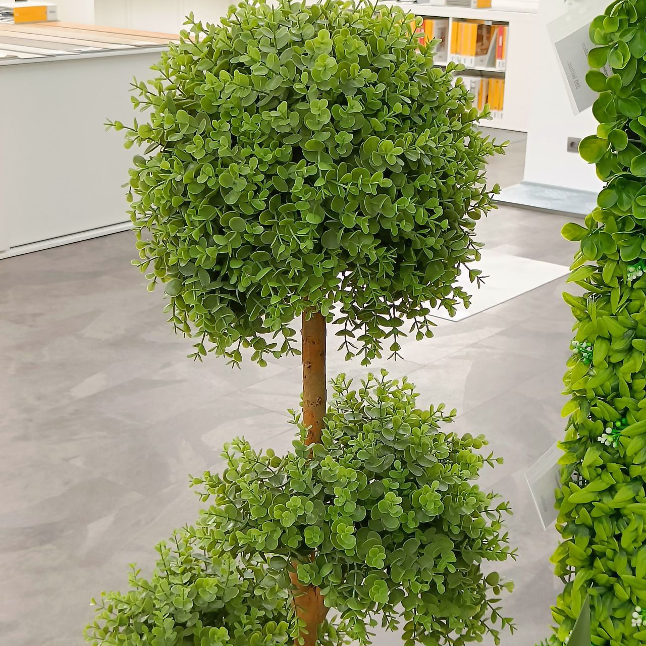 Plante decorative artificiale / Perete din plante artificiale foto 3