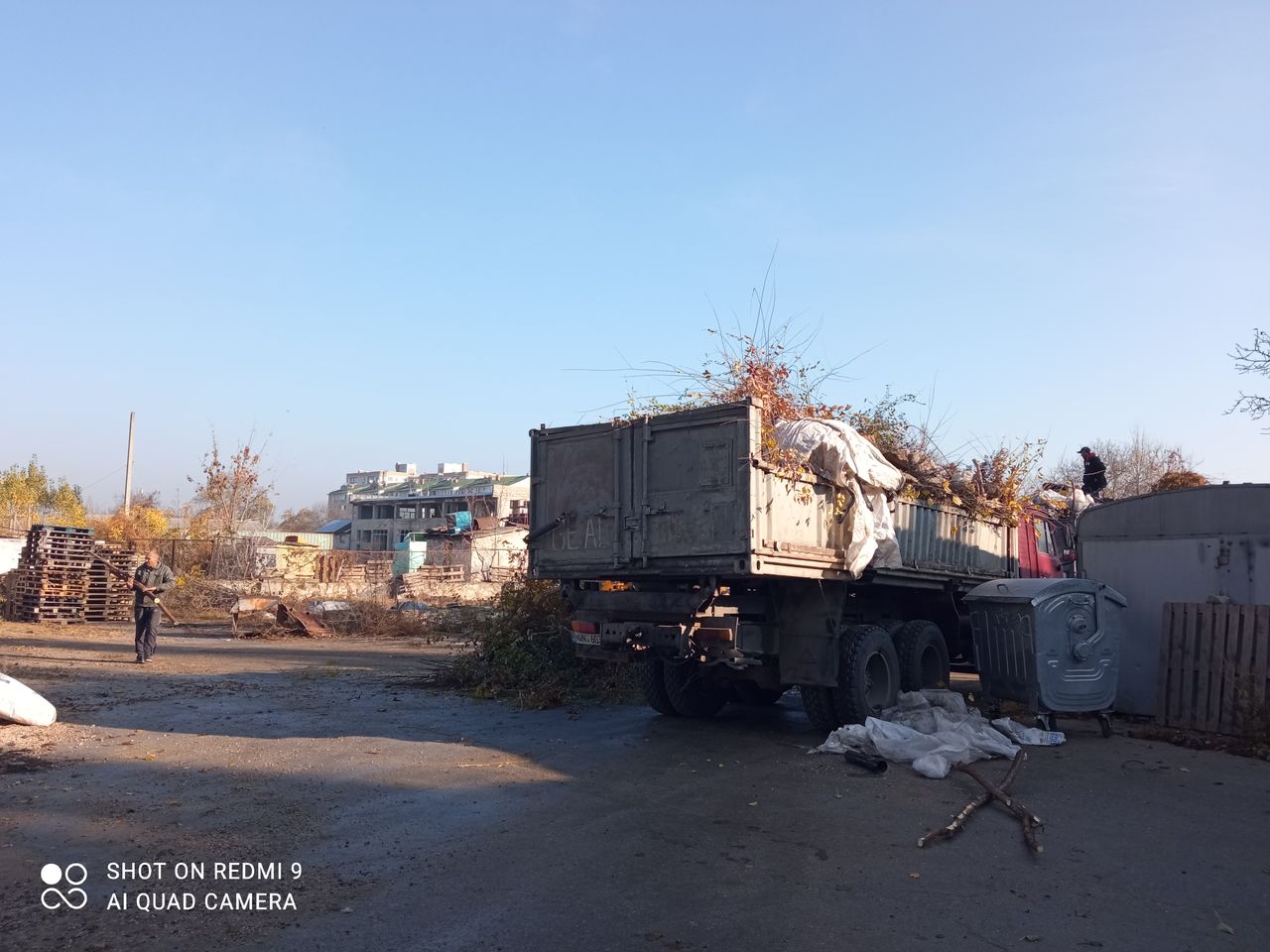 Facem curat la vila. Taiem copaci. Scoatem radacini foto 7