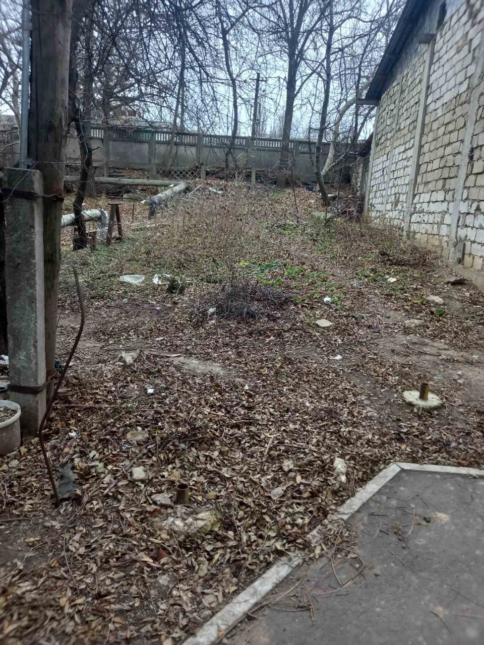 Услуги по уборке территории foto 2