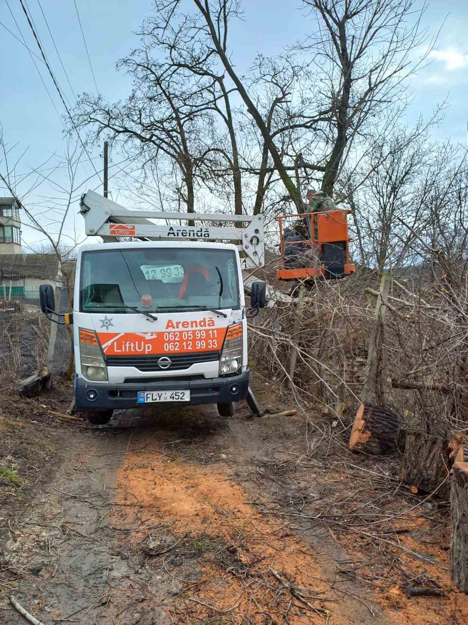 Servicii de tăiere copaci!!! Echipament modern, rapid si calitativ! foto 3