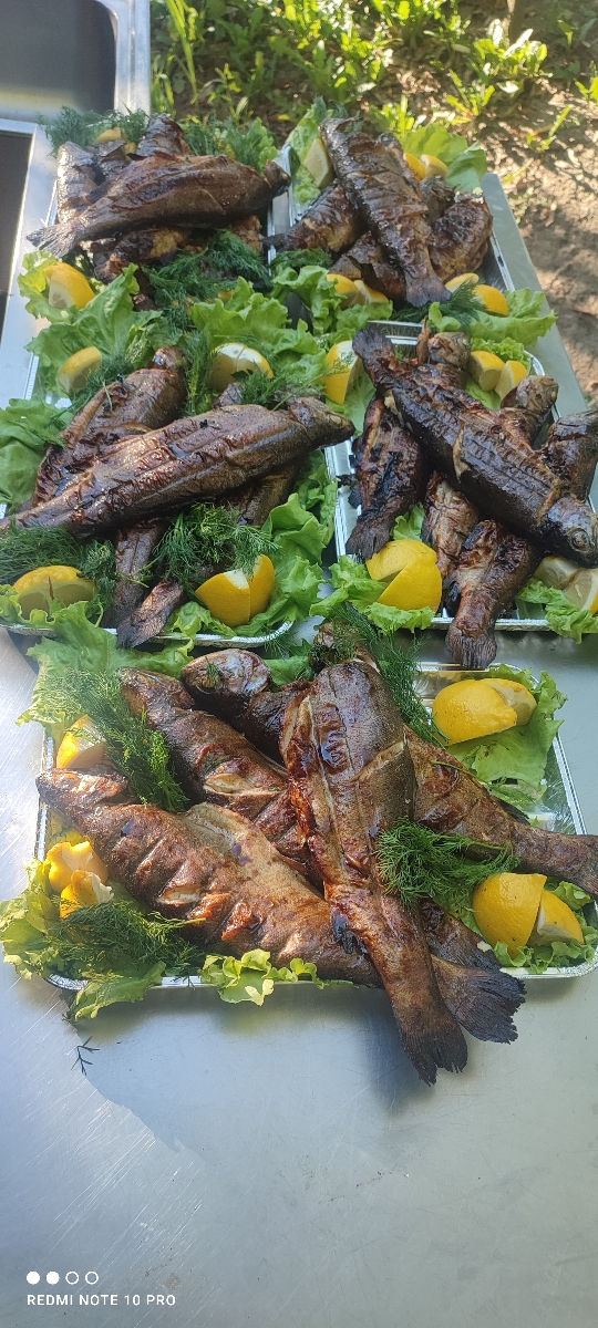 Catering,  выездной банкет,  корпоратив, свадьба, zeama, шашлыки foto 7