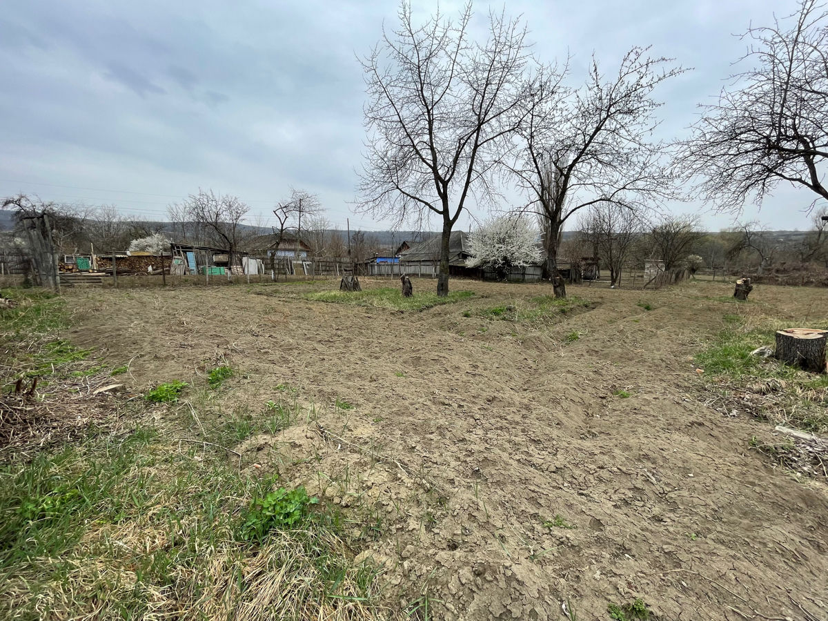 Vanzare 2 Case s.Ghetlova rl.Orhei cu teren 30 ari linga Padure foto 9