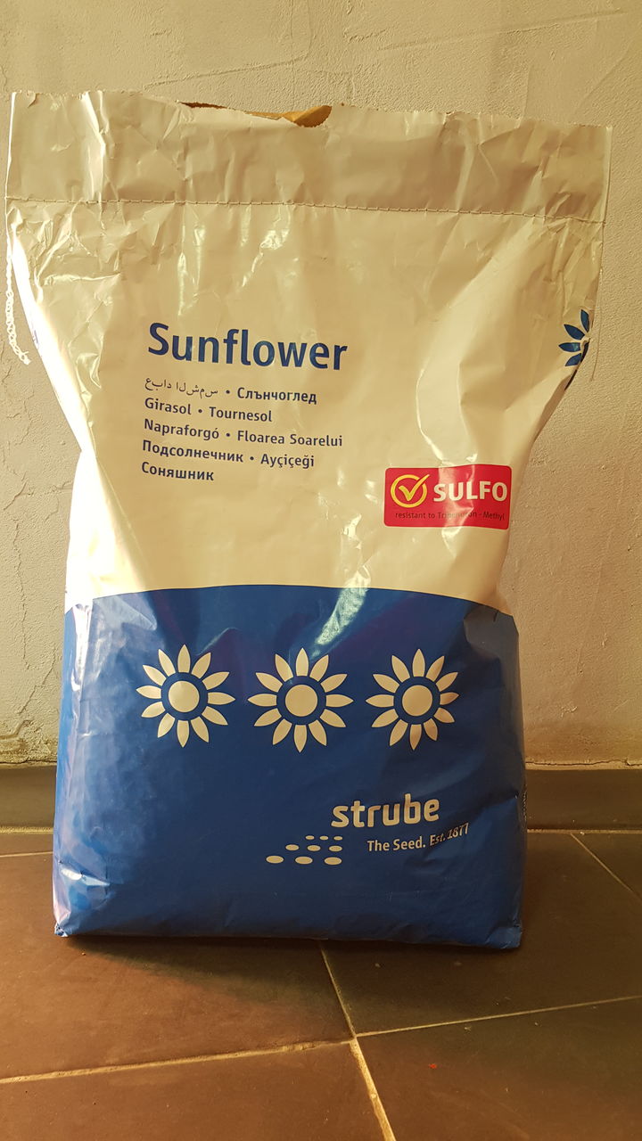 Oferta 2025 semințe Floarea soarelui +erbicid=1050 lei hectarul. foto 8
