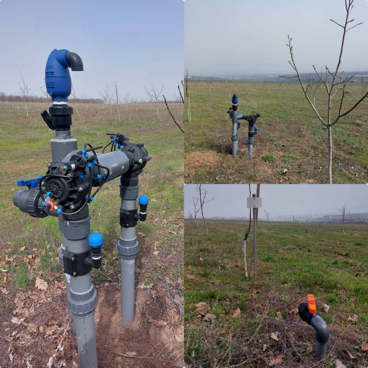 Livadă de nuci chandler, 7 ani - 11.4 ha cu sistem de irigare. foto 3