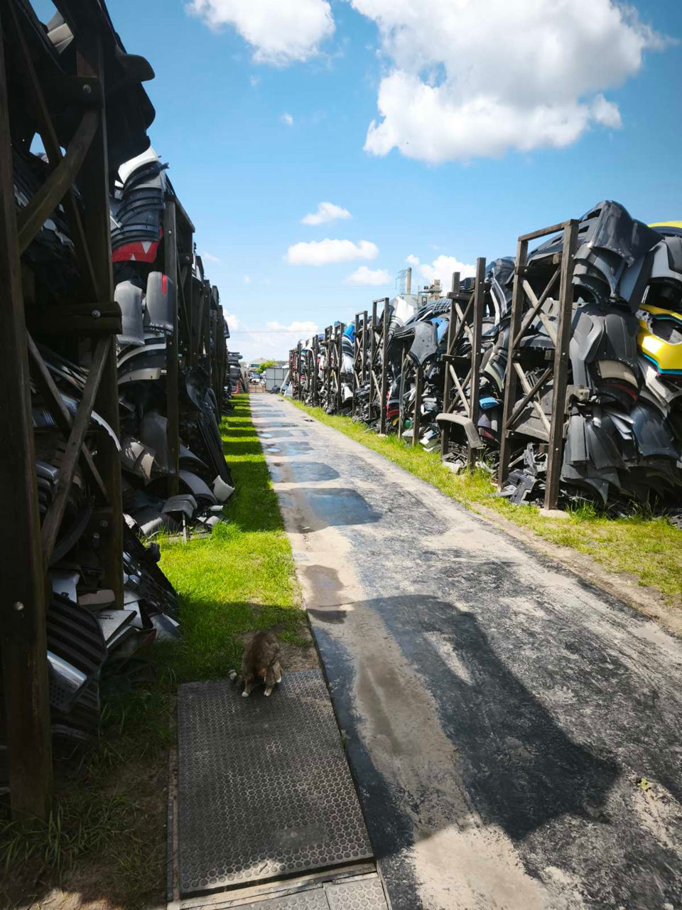 Parbrize stecle auto noi și uzate originale.avem tot.Ne deplasăm pe loc foto 6