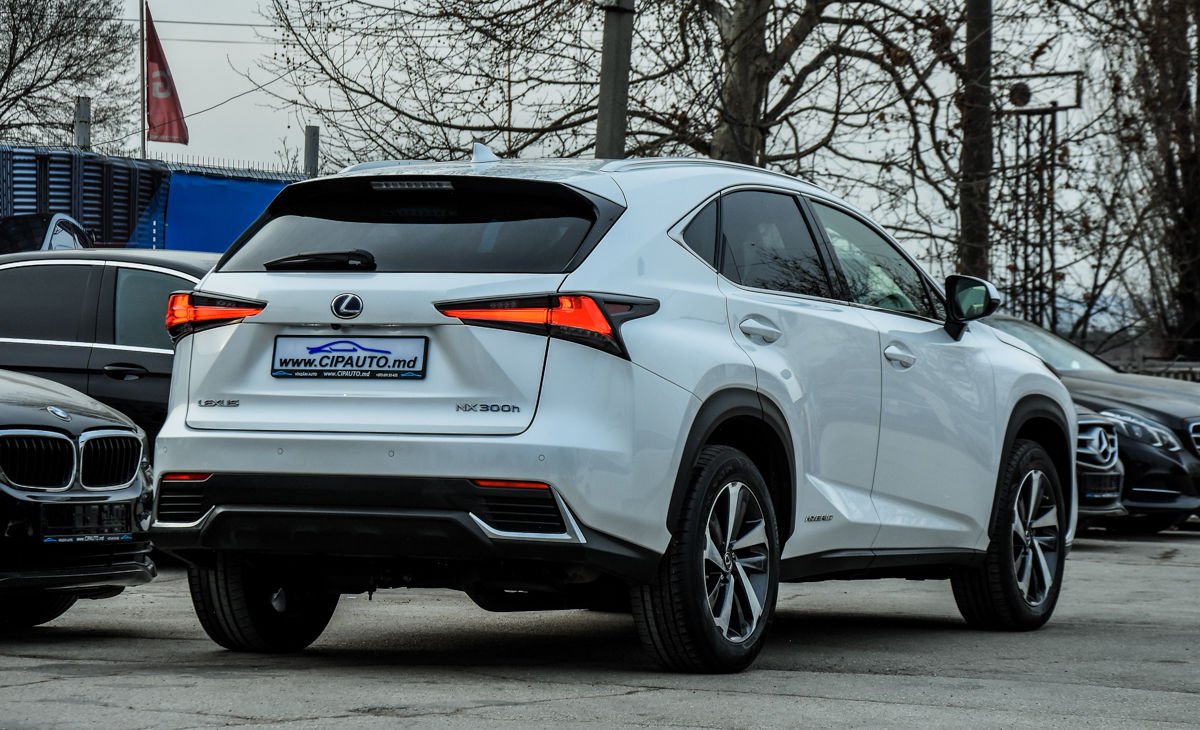 Lexus NX Series фото 4