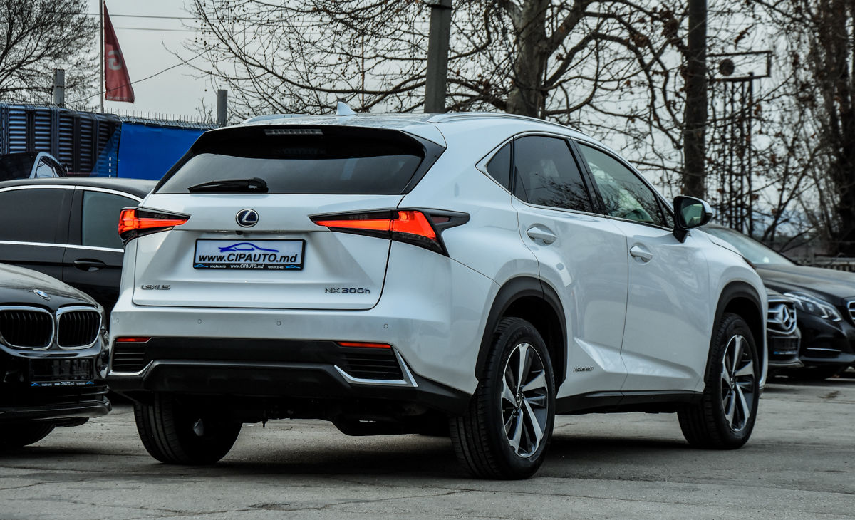 Lexus NX Series foto 4