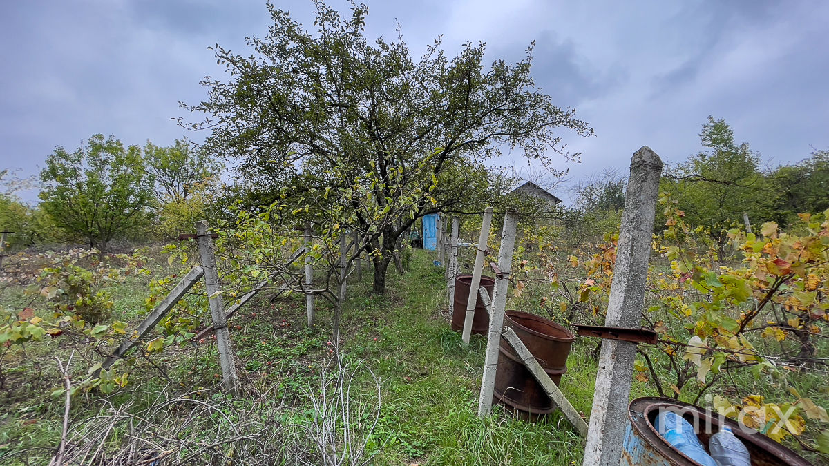 IP Vieru, Trușeni, Chișinău foto 3