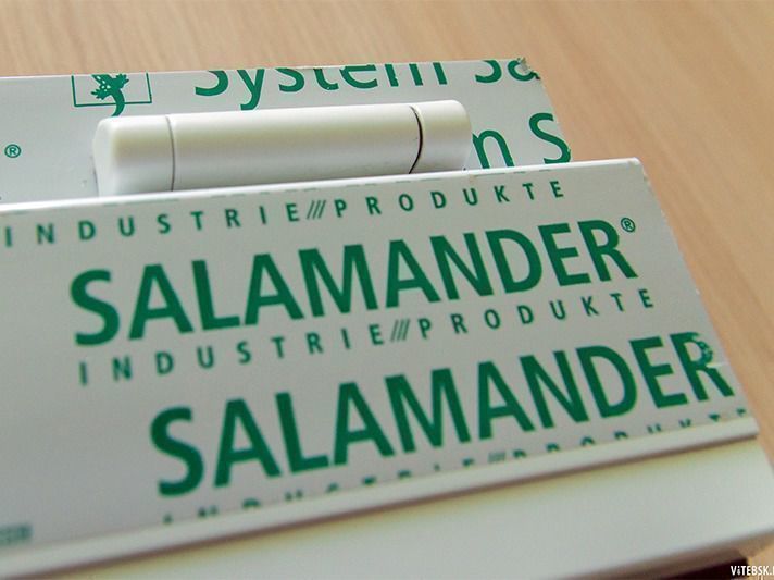 Ferestre Salamander foto 2