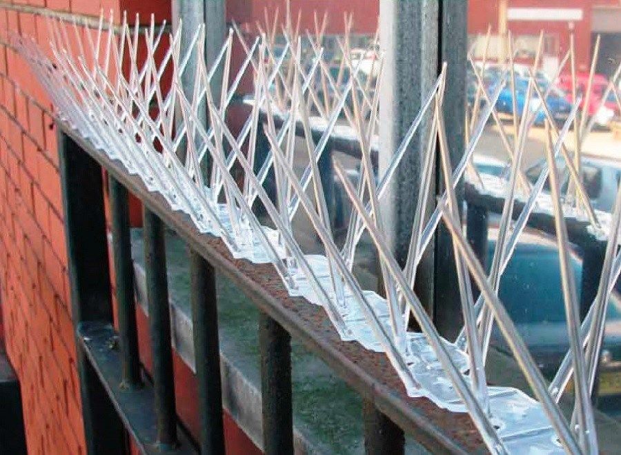 Protectie impotriva pasarilor- instalare , servicii auto turn... foto 9