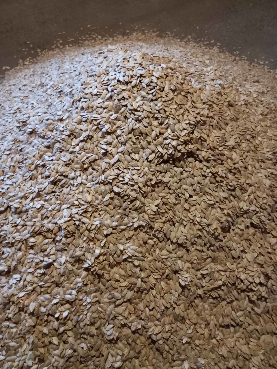 Семечки