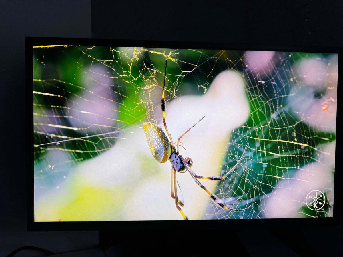 Игровой монитор Asus MG278Q 2K 27’ 144hz фото 0