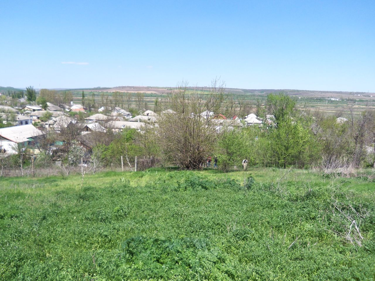 Земельный участок фото для объявления