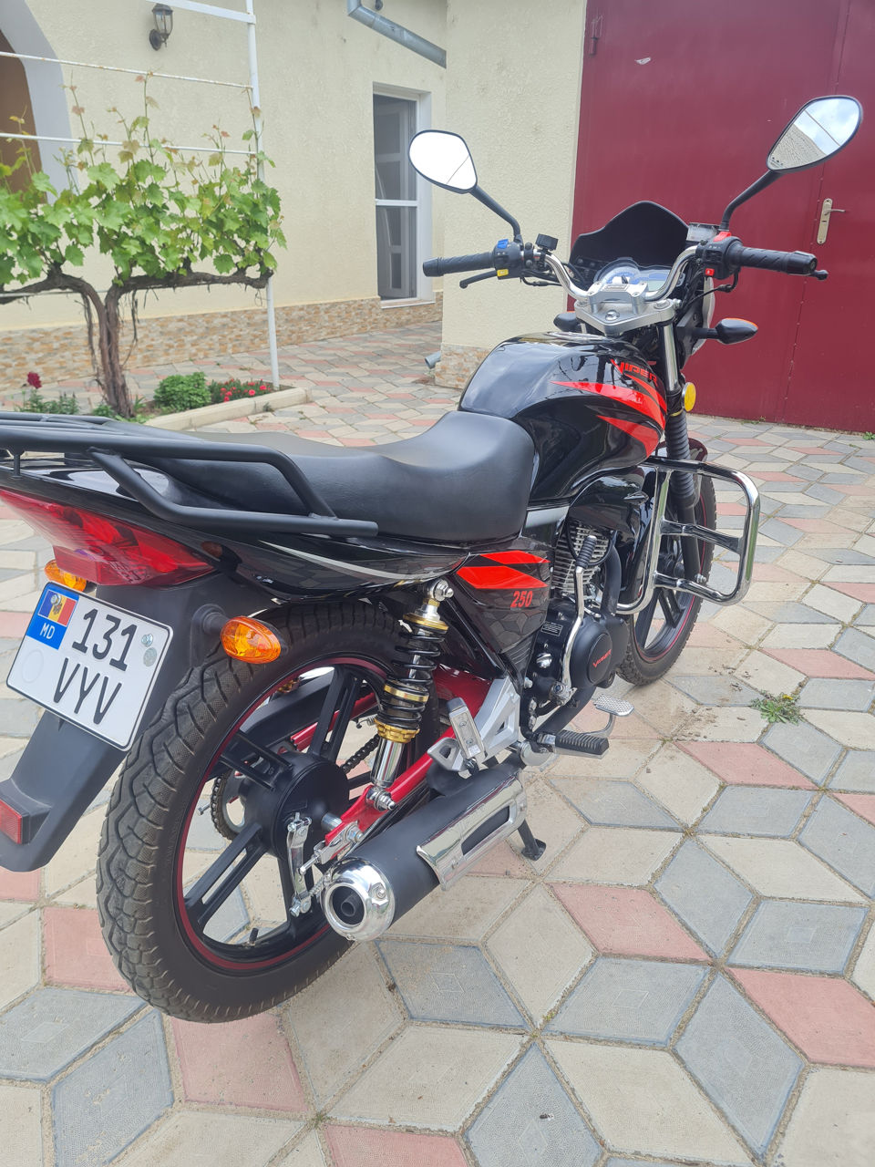 Viper 250 foto 3