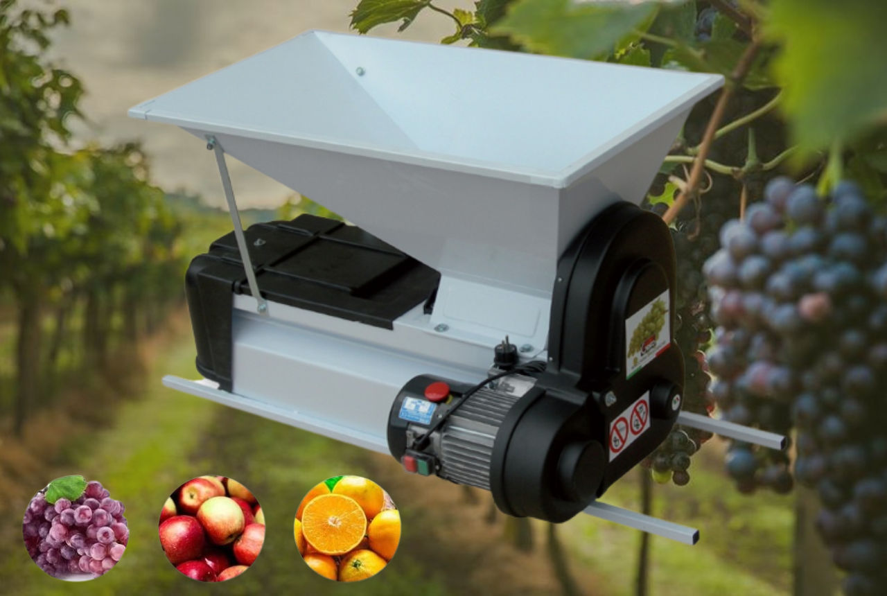 Zdrobitor de fructe electric puternic foto 1