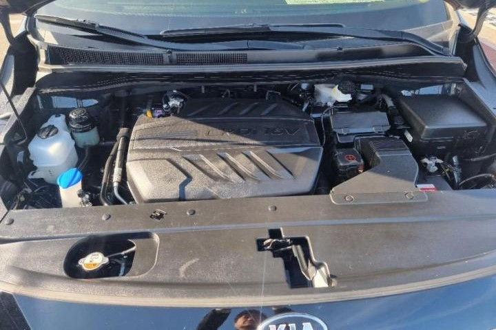 KIA Carnival фото 13