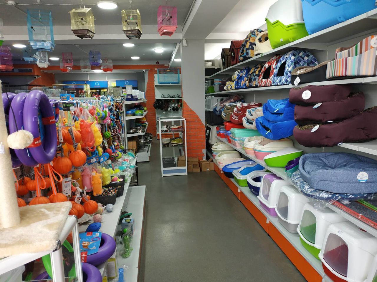 Magazine ZOOTERRA - o gamă largă de produse pentru animalele de companie ! foto 8