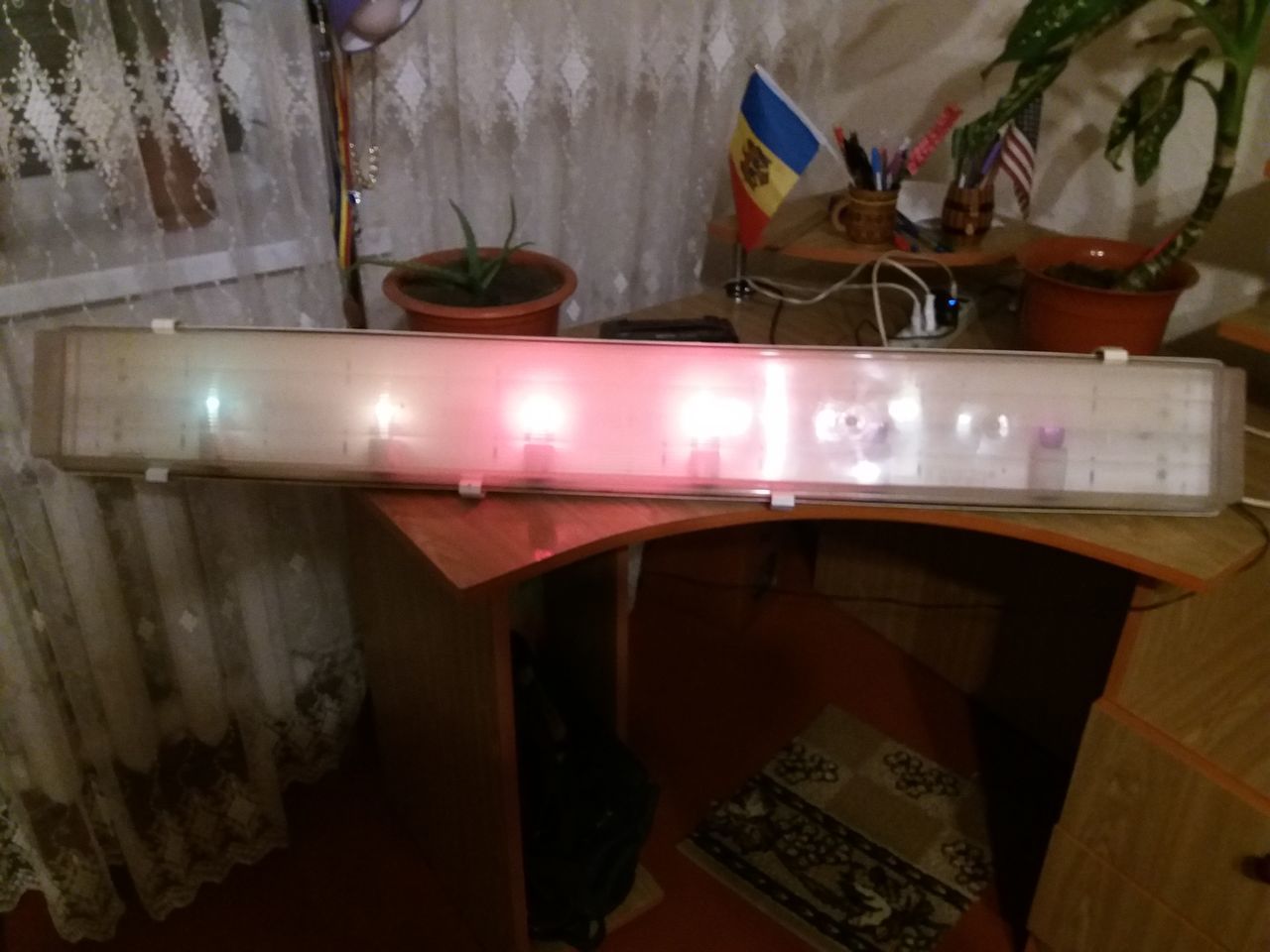 светомузыка
