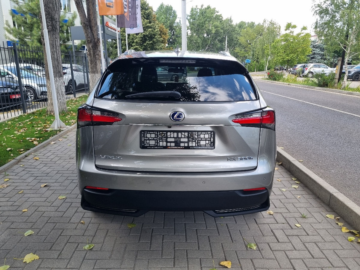 Lexus NX Series 2014 photo 6