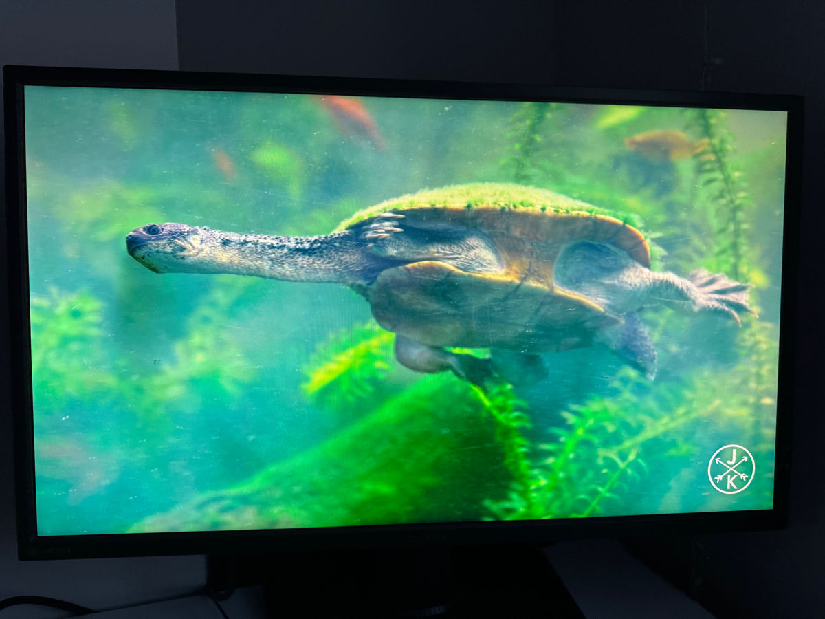 Игровой монитор Asus MG278Q 2K 27’ 144hz фото 6