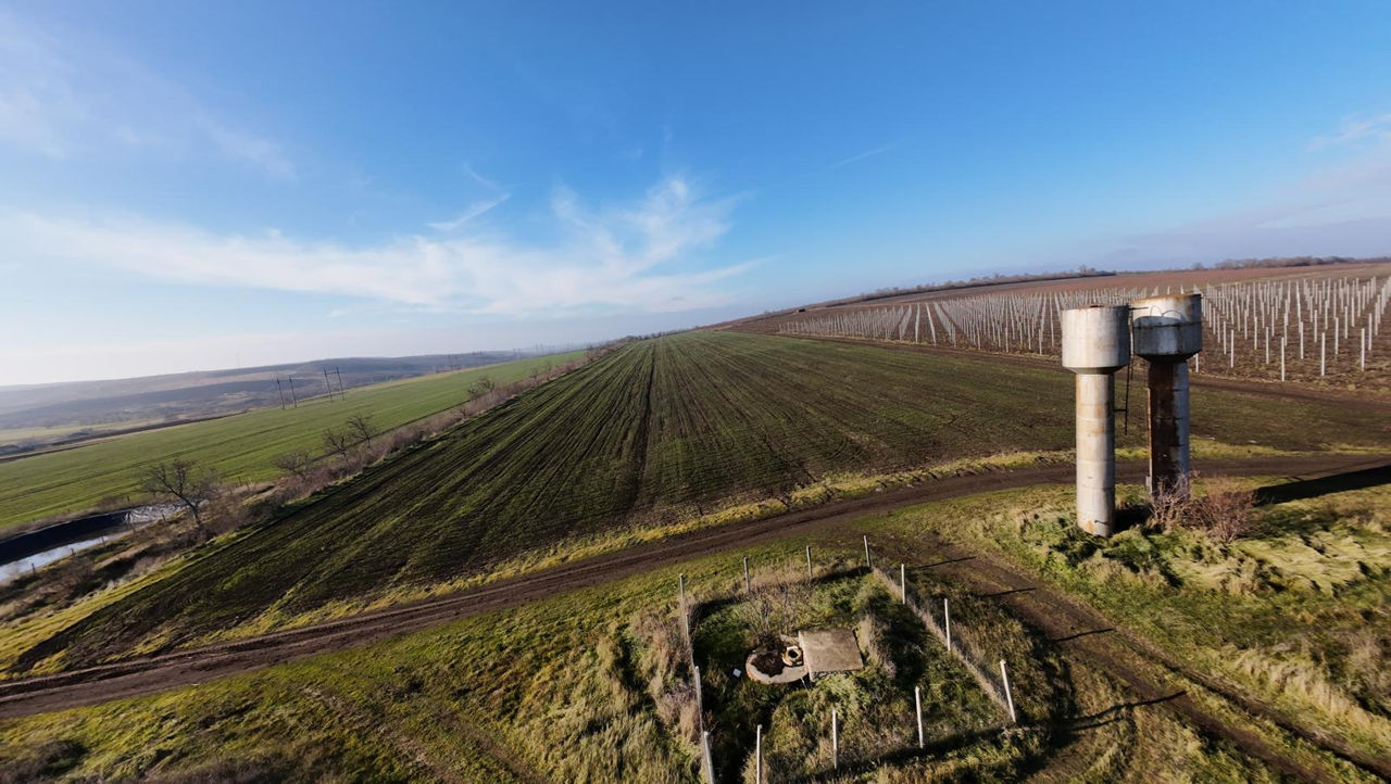 Vanzare Teren Agricol Ferma Depozit Arteziana 380v Bazin foto 11